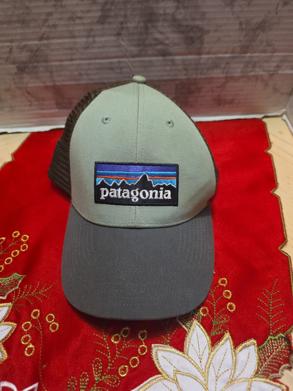 Patagonia Logo Patch Trucker Hat in Sage and Dark Gray